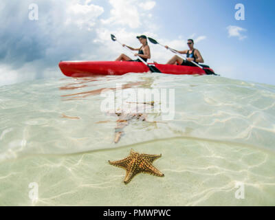 Paar Kajakfahren auf dem Meer an Starfish Beach, Grand Cayman, Cayman Islands Stockfoto