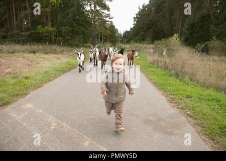 Portrait verspielten Mädchen gejagt, die von Ziegen auf die ländliche Straße Stockfoto