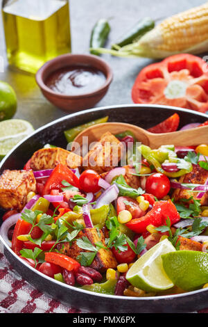 Leckeren warmen mexikanischer Salat mit gebratenem Tofu Käse, Mais, aus schwarzen Bohnen, Tomaten, Paprika, Zwiebeln, Gewürze, jalapeno, mit saurem Dressing Mischen von Olivenölen und Li Stockfoto