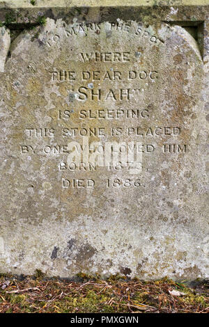 Tresillian Haus, Newquay, Cornwall, England. A dog's Grabstein in der Familie Haustier Friedhof Stockfoto