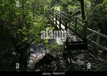 Öffentlichen Fußweg am Ufer des Flusses Aeron an Llanerchaeron, Ceredigion, Wales, Großbritannien, USA, UK, Europa Stockfoto