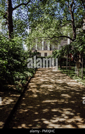 Dappled Sonnenlicht durch die Bäume in einem Tavistock Square Gardens, einem öffentlichen Park im Zentrum von London Stockfoto