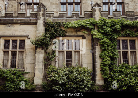 Innerhalb der Stadtmauern von Chirk Castle in Wrexham, North Wales Stockfoto