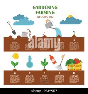 Die Gartenarbeit, Landwirtschaft Infografik. Grafische Vorlage. Flat Style Design. Vector Illustration Stock Vektor