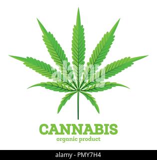 Cannabis oder Marihuana Blatt Emblem isoliert auf Weiss. Vector Illustration. Organisches Produkt. Stock Vektor