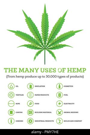 Industrieller Hanf Infografik mit Symbolen der Produkte. Vector Illustration. Die Verwendung von Cannabis Stock Vektor