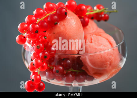 Erdbeersorbet serviert in einem Coupé Glas mit roter Johannisbeere. Grauer Hintergrund, hohe Auflösung. Stockfoto