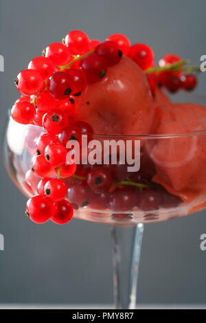 Erdbeersorbet serviert in einem Coupé Glas mit roter Johannisbeere. Grauer Hintergrund, hohe Auflösung. Stockfoto