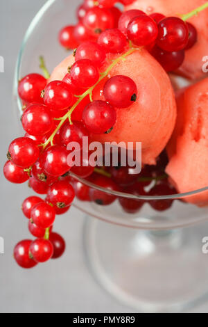 Erdbeersorbet serviert in einem Coupé Glas mit roter Johannisbeere. Grauer Hintergrund, hohe Auflösung. Stockfoto