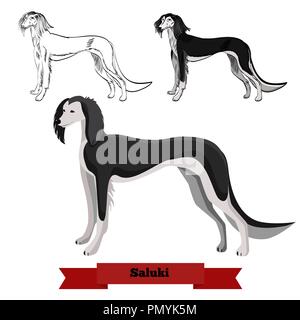 Whippet Hund auf weißem Hintergrund. Saluki Hund in Hand gezeichnet und Stile. Stock Vektor