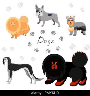 Hunde Sammlung im flachen Stil. Satz von Hunderassen auf weißem Hintergrund. Stock Vektor