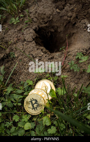 Bitcoin, Litecoin und des Astraleums physisches Gold Münzen warten in der Erde im Garten begraben zu werden. Holding cyprocurrency abstraktes Konzept. Stockfoto