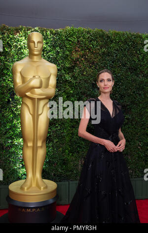Jean Hersholt Humanitarian Award Empfänger Angelina Jolie besucht die 5. jährliche Gouverneure Auszeichnungen bei den Ray Dolby Ballroom am Hollywood & Highland Center® in Hollywood, CA, am Samstag, den 16. November 2013. Datei Referenz # 32184 058 Nur für den redaktionellen Gebrauch - Alle Rechte vorbehalten Stockfoto