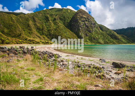 Shoreline Bank von See fogo Sao Miguel Azoren vulkanischen Krater Stockfoto