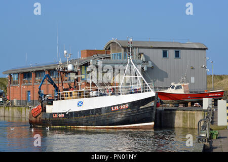 Fischtrawler bei Eyemouth, Schottland Stockfoto