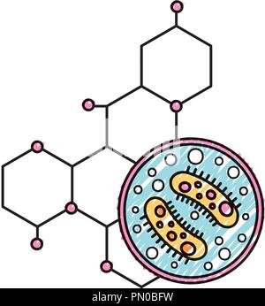 Wissenschaft Labor Petrischalen Bakterien Molekül Stock Vektor