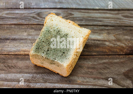 Alte weiße Schimmel auf Brot. Verdorbenes essen. Schimmel auf Lebensmitteln. Stockfoto