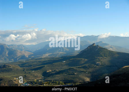 Die Olivenhaine in der Nähe von Sierra Mágina. Jaén, Spanien Stockfoto