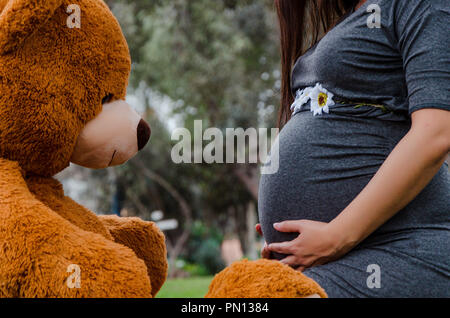 Teddybär am Bauch der Mutter in einem Park. Schwangerschaft, Vaterschaft, Vorbereitung und Erwartung Konzept. Stockfoto