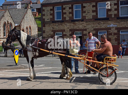 Gypsy Reisenden mit Pferd und Trab Warenkorb. Appleby Horse Fair 2018. Das Sands, Appleby-in-Westmorland, Cumbria, England, Vereinigtes Königreich, Europa. Stockfoto