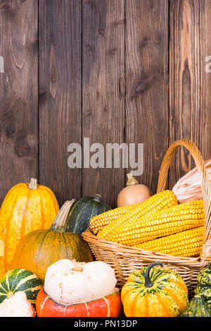 Herbst Thanksgiving Motiv mit einem Korb voll mit Maiskolben und verschiedene bunte Kürbisse auf einem alten rustikalen Holzmöbeln Hintergrund mit Kopie Platz im Stockfoto