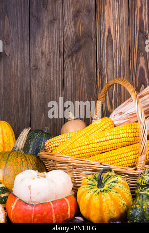 Herbst Thanksgiving Motiv mit einem Korb voll mit Maiskolben und verschiedene bunte Kürbisse auf einem alten rustikalen Holzmöbeln Hintergrund mit Kopie Platz im Stockfoto