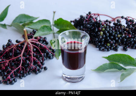Holunder Zweige und Blätter mit einem Schuß von holunder Essig auf weißem Hintergrund Stockfoto