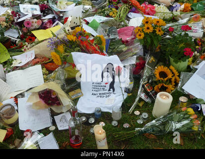 Camden Town, London, UK. 260711. Fans und Trauernde stöbern Sie in den floral Tribute und Nachrichten außerhalb Camden Amy Winehouse's Square, wo der 27-jährige bemüht Sänger am Samstag, den 23. Juli starb. Die Beerdigung fand heute im Norden von London und bei Golders Green Krematorium in der North West London statt. 26. Juli 2011. Ref: LMK 11-30269 -260711 Brophy / Sehenswürdigkeit MediaPunch * INTERNET UND DIGITALE VERWENDET WERDEN GEBÜHREN* Stockfoto