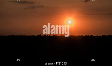 Sonnenuntergang in der ukrainischen Steppe (Ukraine, Rasseika) Stockfoto