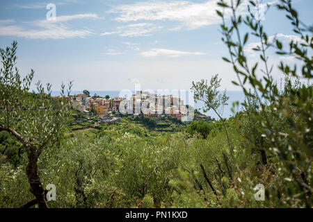 Wandern die Wanderwege in der Nationalpark von Cinque Terre, zwischen den 5 kleine Dörfer - ligury - Italien Stockfoto