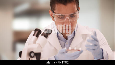 Tausendjährige Latino medizinische Forschung Wissenschaftler im Labor studieren Petrischale Stockfoto