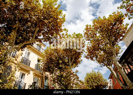 Straßen und Bäume Cassis Provence Frankreich Stockfoto