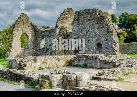 St. Dogmaels Abtei St. Dogmaels, in der Nähe von Cardigan, Ceredigion, Wales Stockfoto