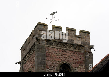 Turm oben mit Fisch Wetterfahne, All Saints Church, Seagrave, Leicestershire, England, Großbritannien Stockfoto