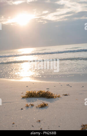 Friedliche Sonnenaufgang in Tulum, Mexiko Stockfoto