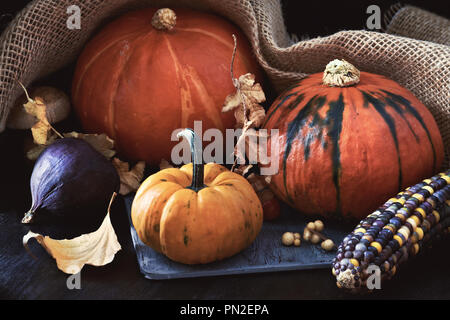 Herbst noch leben, close-up auf Kürbisse, Bild und Mais mit saisonalen Dekorationen auf dunklem Hintergrund Stockfoto