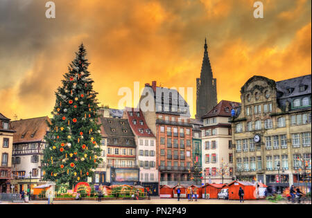 Weihnachtsbaum auf dem Weihnachtsmarkt in Straßburg, Frankreich Stockfoto