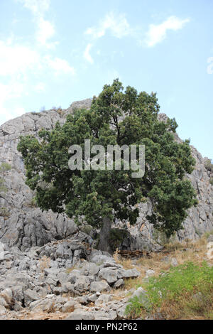 Munzur Berg und Nationalpark Stockfoto