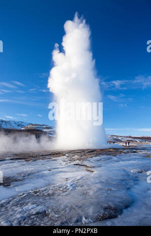 Ausbrechenden Frühling im Geysir Strokkur Fountain Geysir geothermische Gebiet ein Feld von Hot Pools und Wasserspeier ist eine der berühmtesten Island Geysire Stockfoto