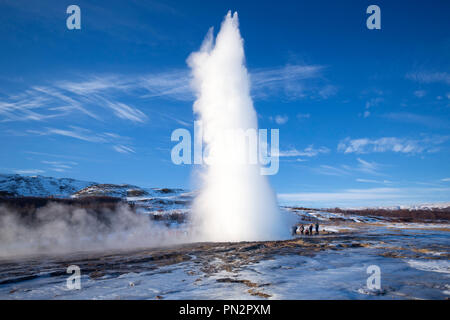 Ausbrechenden Frühling im Geysir Strokkur Fountain Geysir geothermische Gebiet ein Feld von Hot Pools und Wasserspeier ist eine der berühmtesten Island Geysire Stockfoto