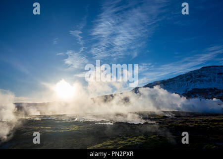 Geysir geothermische Gebiet - Dampf steigt von einem Feld von Hot Pools und Wasserspeier in einem der berühmtesten Island Geysire Stockfoto