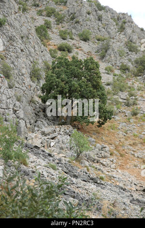 Munzur Berg und Nationalpark Stockfoto