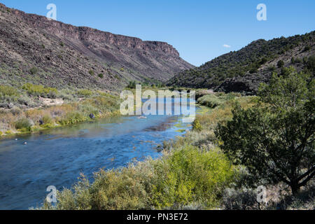 Rio Grande Fluss Kurven durch den Rio Grande Schlucht im Norden von New Mexico in den Rio Grande del Norte National Monument Stockfoto