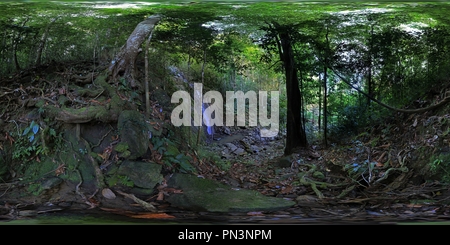 360 Grad Panorama Ansicht von Indonesien - Raja Ampat Inseln - Wasserfall im Dschungel von Pulau Waigeo