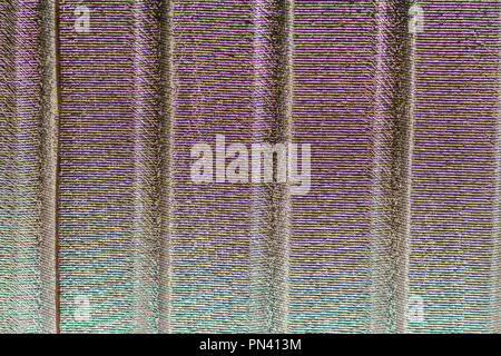 Silber Dach Isolierung grobe Falten Folie Textur. Dämmplatten auf Decke in der Nähe bis Hintergrund installiert. Silberne Folie Isolierung für Wärme schützen Stockfoto