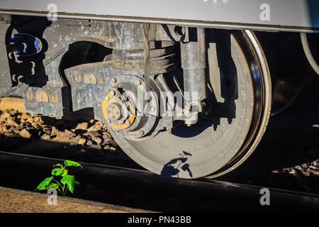 Jahrgang alte Bahn Rad mit kleinen Baum auf die rostigen Eisenbahn. Stockfoto