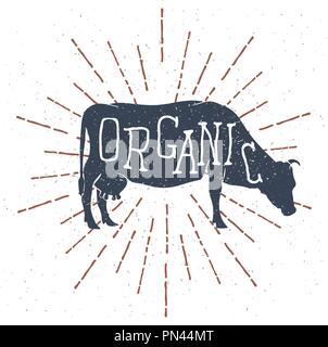 Hand gezeichnet Kuh Silhouette mit Vintage Sunburst auf weißem Hintergrund. Vektor Stock Vektor