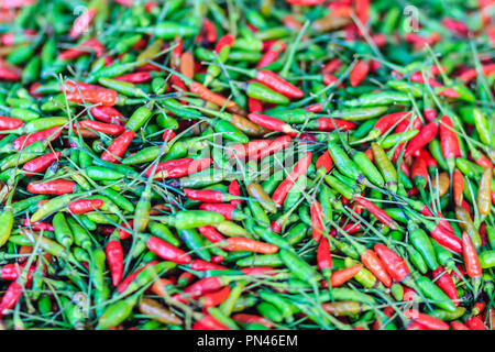 Die Organische rote und grüne Vogelperspektive Vogelperspektive Chili, Chili, Chili's Vogel, Chile de Arbol, oder Thai Chili ist ein Chili, eine Sorte von der Arten Kappe Stockfoto