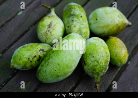 Reife Früchte der gemeinsamen Papaya-früchten (asimina triloba) Stockfoto