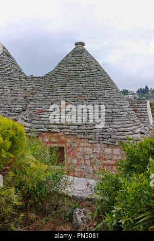 Einzigartige kleine Süd Italia Stadt Alberobello mit antient Steine konische Häuser Trullo, Reiseziel, Region Apulien in der Nähe von Bari Stockfoto